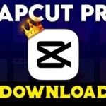 CapCut Pro